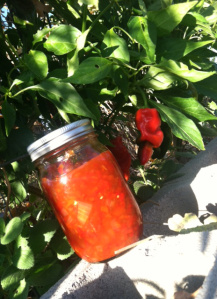 pepper relish and plant